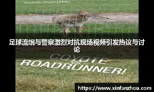 足球流氓与警察激烈对抗现场视频引发热议与讨论