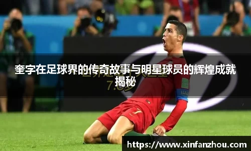 星空xingkong官网