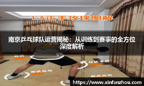 南京乒乓球队运营揭秘：从训练到赛事的全方位深度解析